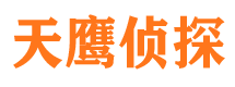 沽源调查公司